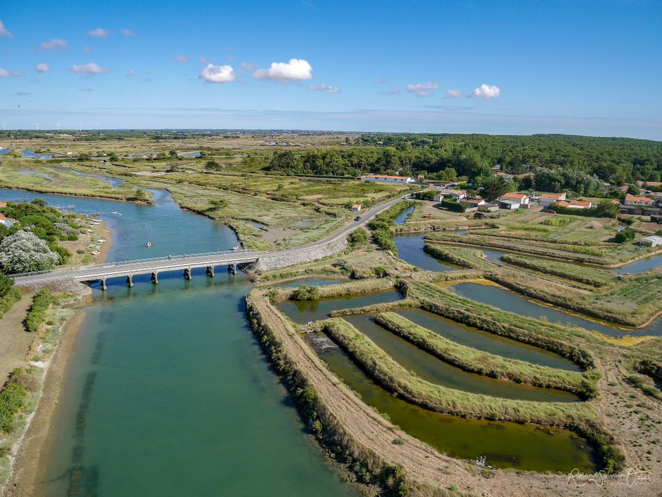 France - Atlantique Nord - Brem sur Mer - Camping l'Océan 5*