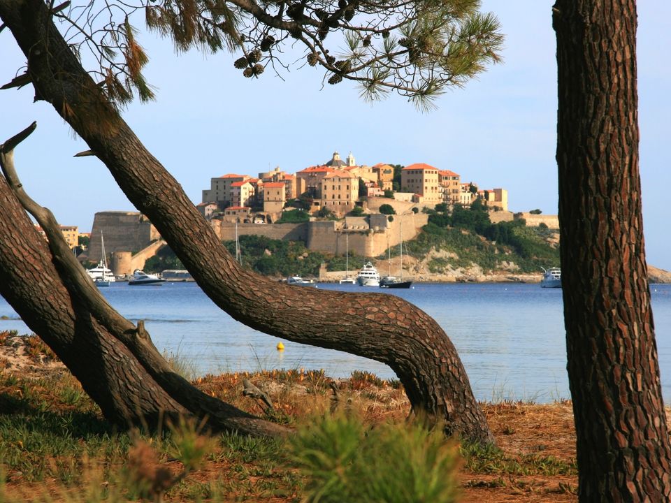 France - Corse - Calvi - Camping La Pinède 4*