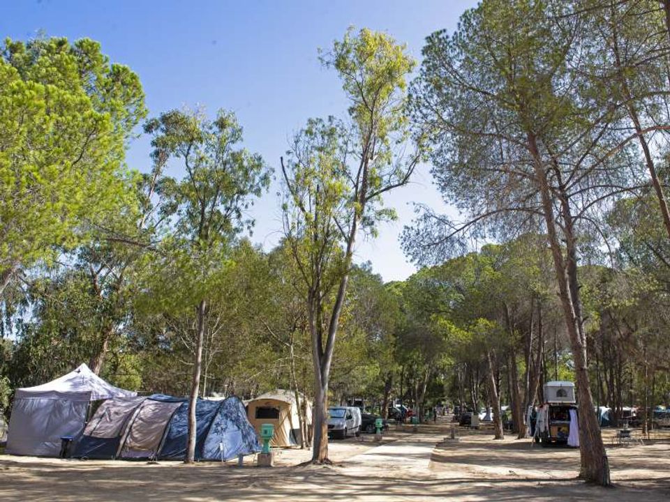 France - Corse - Calvi - Camping Bella Vista, 3*