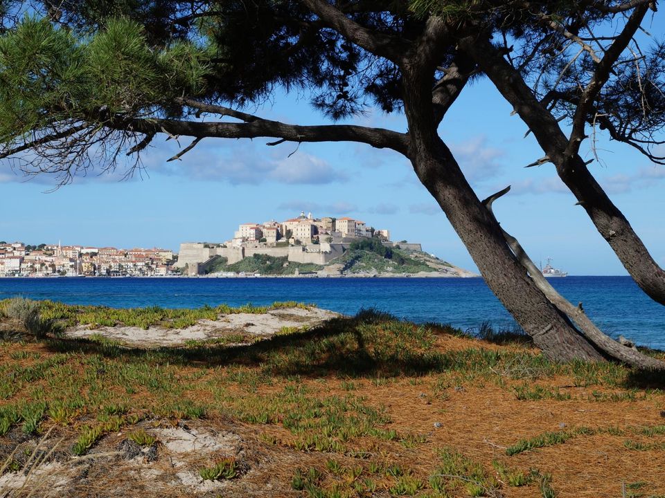 France - Corse - Calvi - Camping Bella Vista, 3*