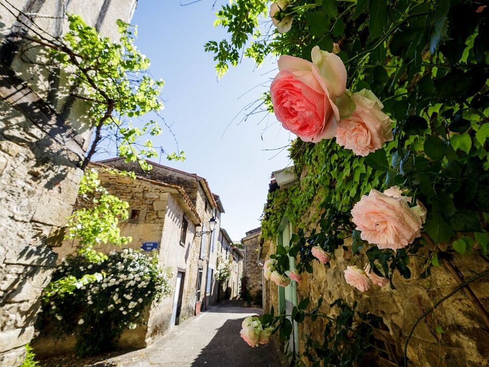 France - Pyrénées - Camon - Camping Flower La Pibola, 3*