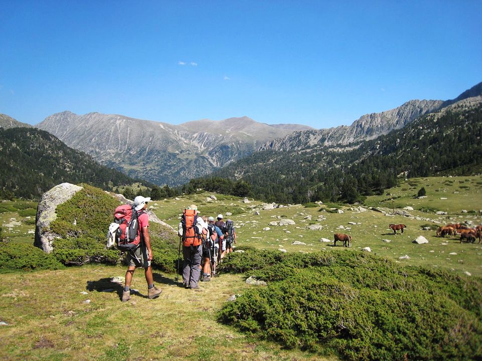 France - Pyrénées - Camon - Camping Flower La Pibola, 3*