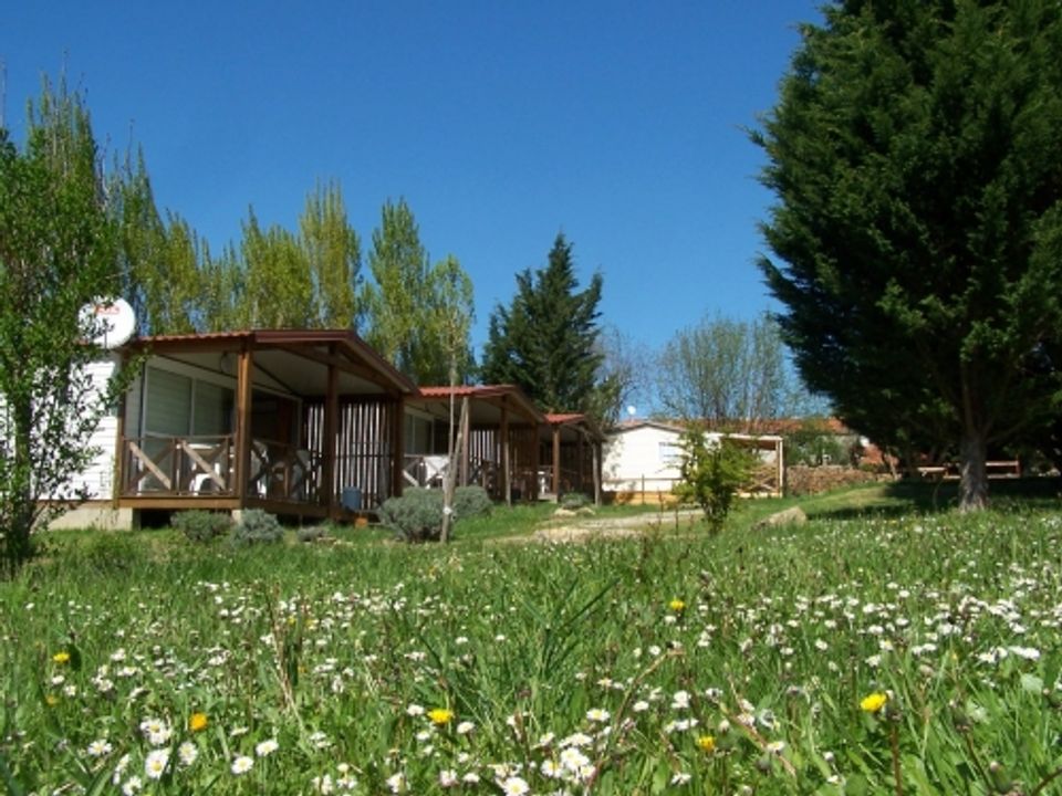 France - Pyrénées - Camon - Camping Flower La Pibola, 3*