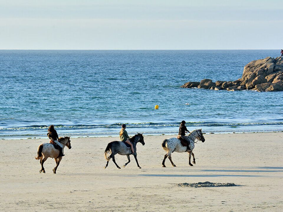 France - Bretagne - Carnac - Camping Côté Ô Le Rosnual 4*