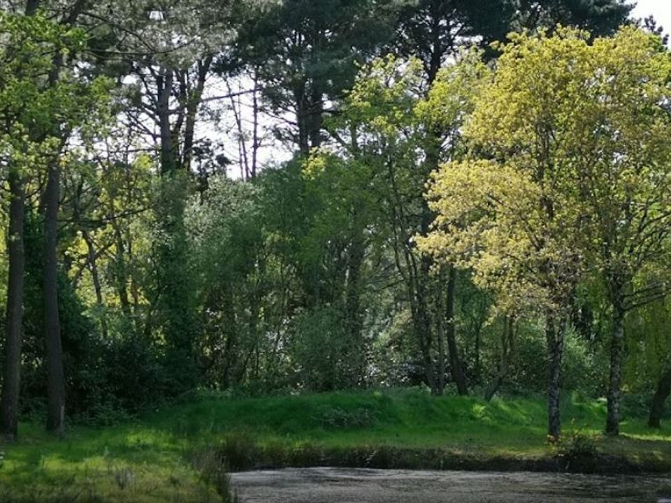 France - Bretagne - Carnac - Camping Côté Ô Le Rosnual 4*