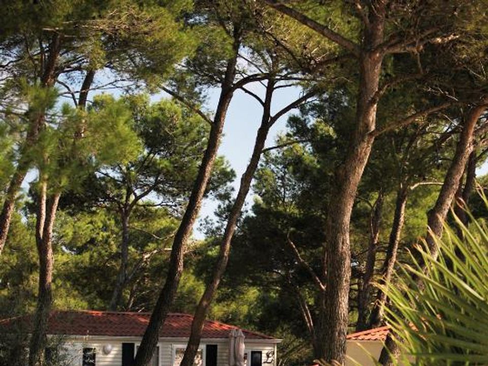 France - Languedoc - Castelnau de Guers - Camping Résidentiel La Pinède, 4*