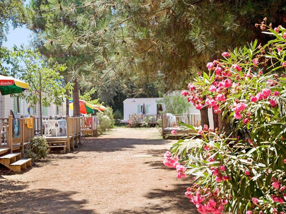 France - Corse - Prunelli di Fiumorbo - Camping Via Romana, 3*