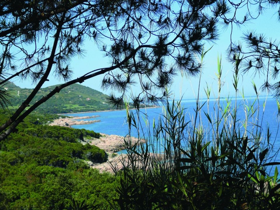 France - Corse - Prunelli di Fiumorbo - Camping Via Romana, 3*