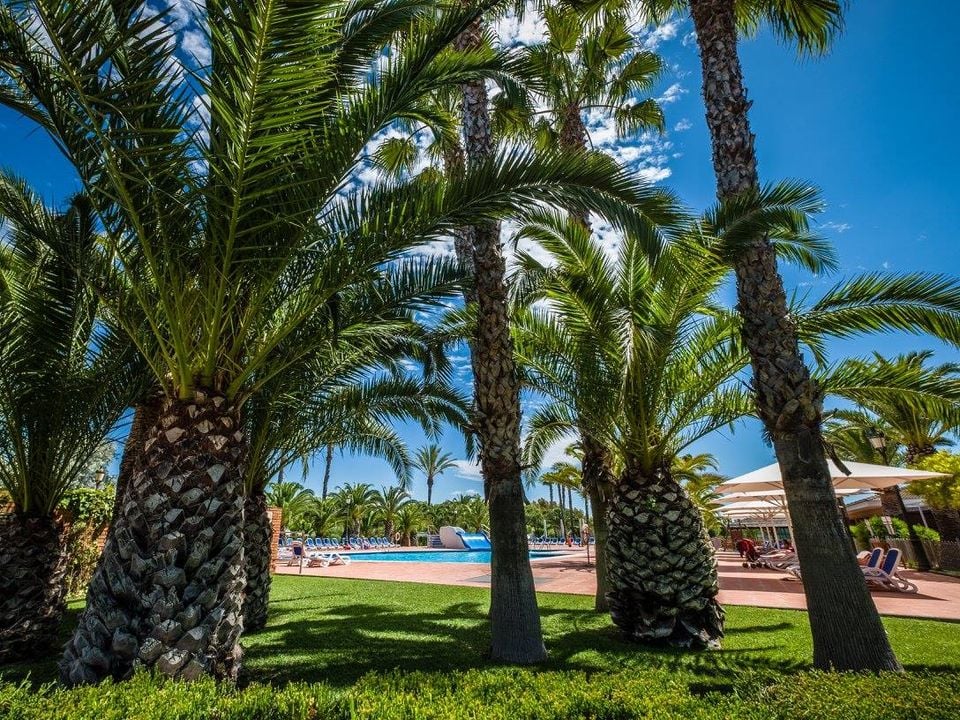 Camping estival Vendrell Platja Costa Dorada - Coma-ruga visuel 8/10