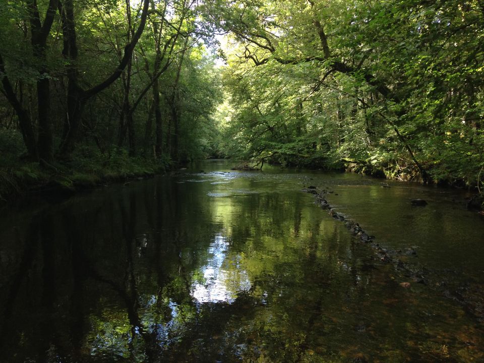 France - Limousin - Corrèze - Camping Au Bois de Calais 3*