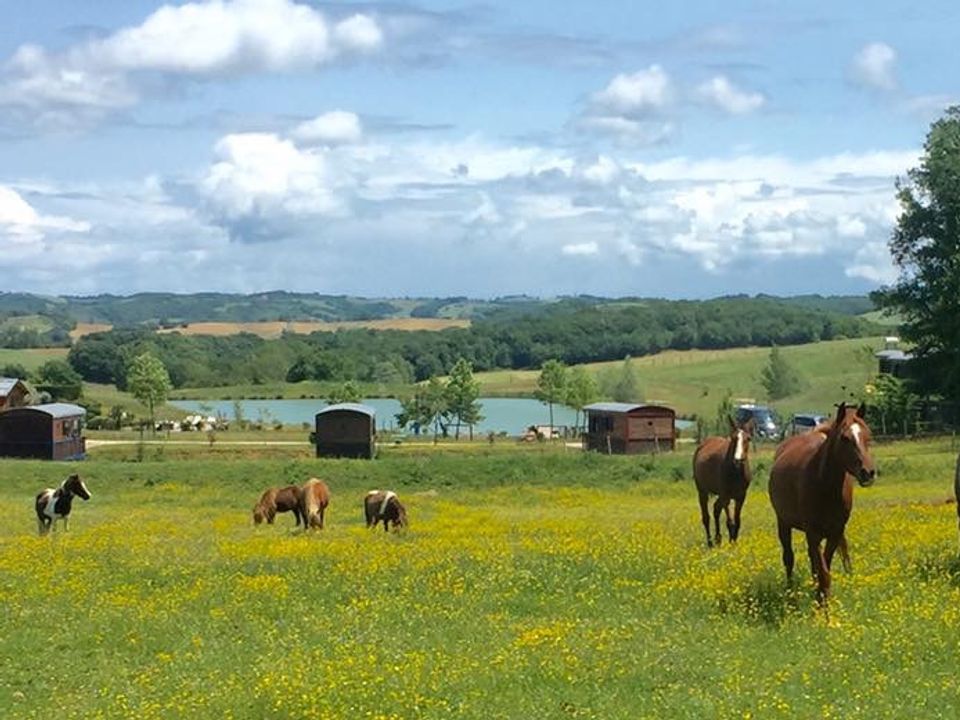 France - Sud Ouest - Estipouy - Parc Résidentiel Domaine d'Escapa, 4*