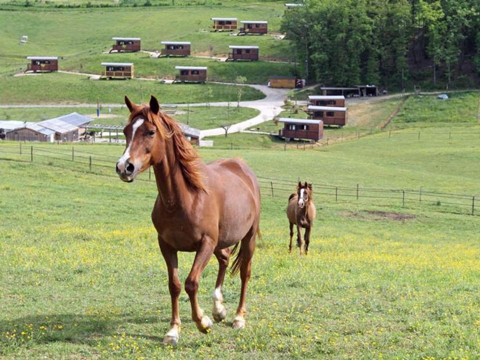 France - Sud Ouest - Estipouy - Parc Résidentiel Domaine d'Escapa, 4*