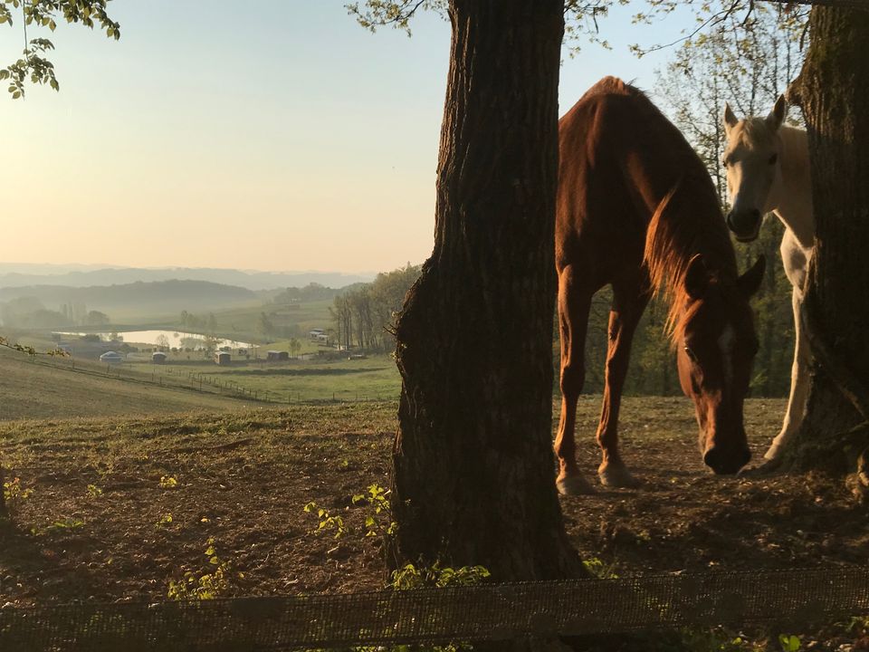 France - Sud Ouest - Estipouy - Parc Résidentiel Domaine d'Escapa, 4*