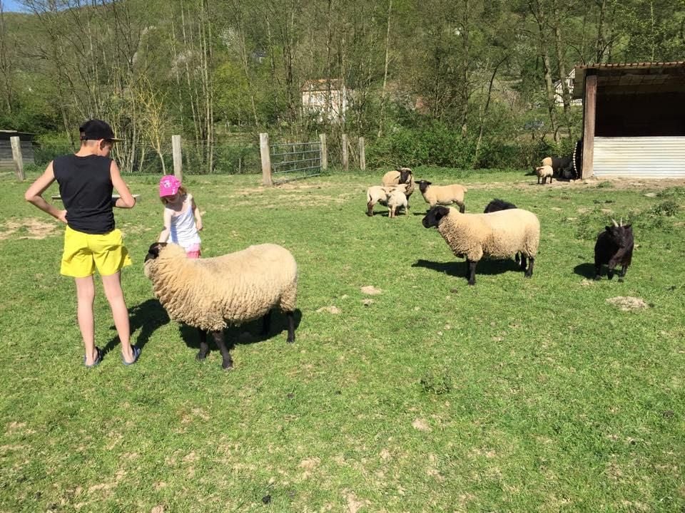 France - Normandie - Fiquefleur Équainville - Camping Sites et Paysages - Domaine de la Catinière, 4*