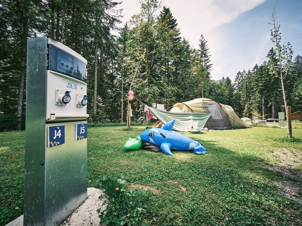 France - Vosges - Granges sur Vologne - Flower Camping La Sténiole 4*