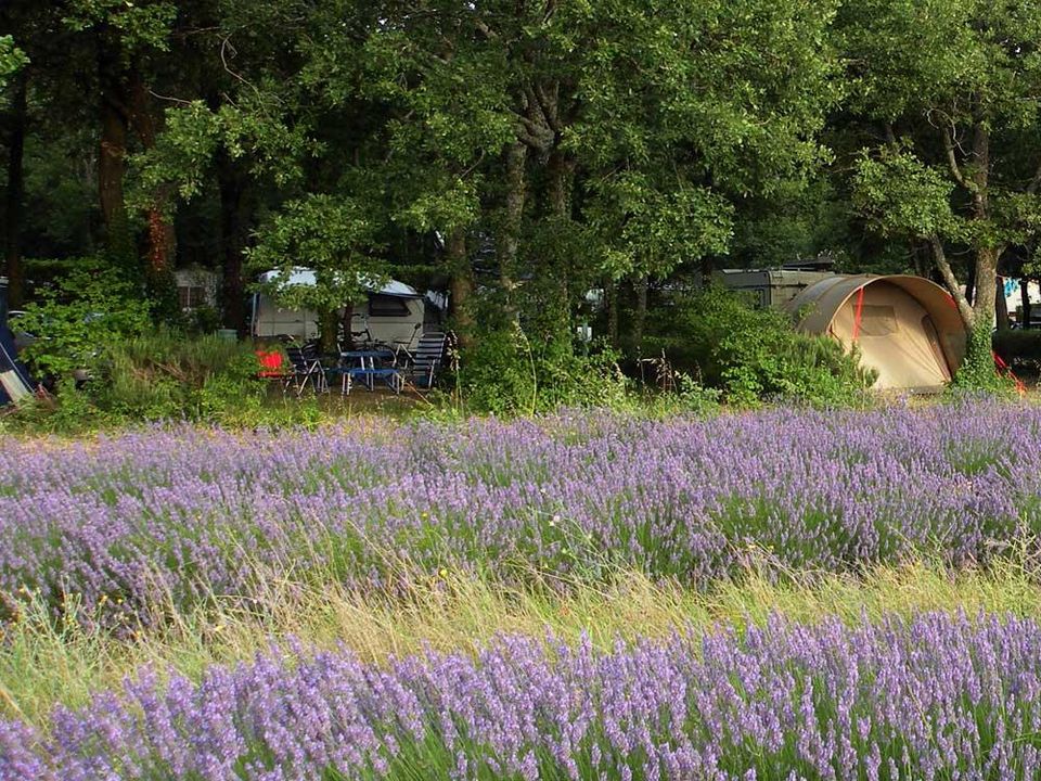 France - Rhône - Grignan - Flower Camping Les Truffières, 3*