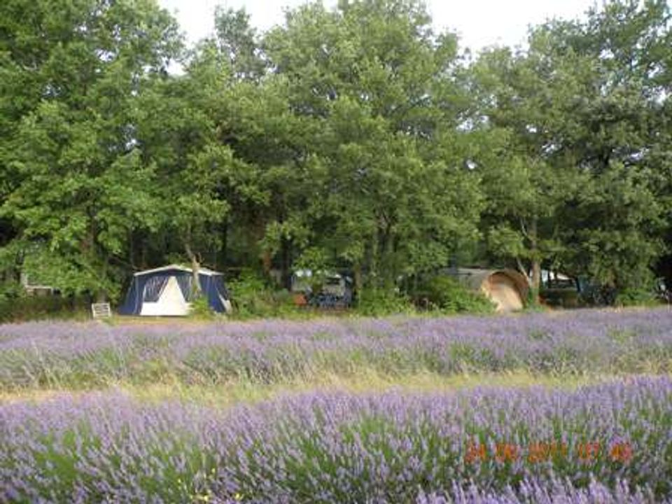 France - Rhône - Grignan - Flower Camping Les Truffières, 3*