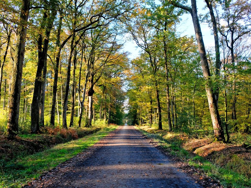 France - Poitou Loire - Guémené Penfao - Camping l'Hermitage, 3*