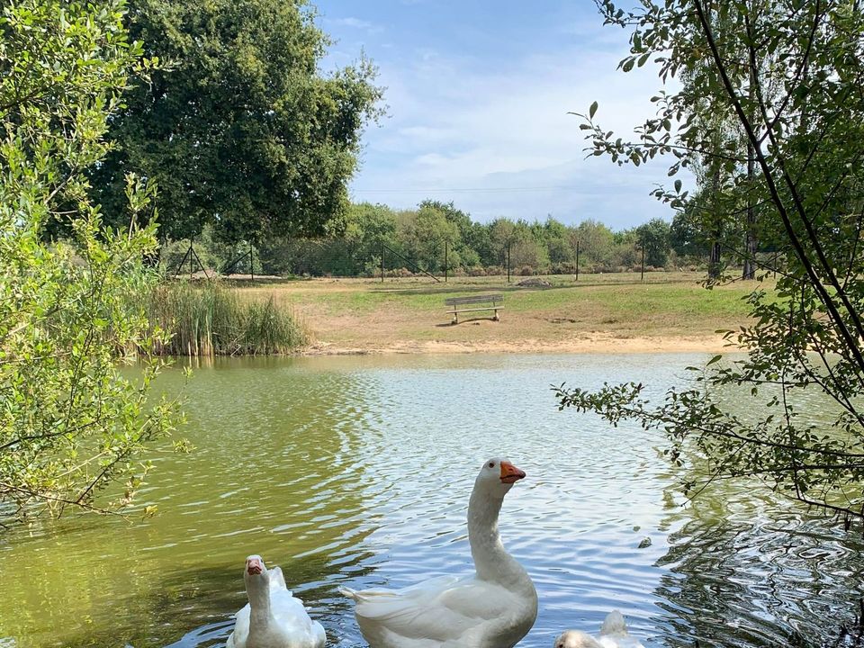 France - Atlantique Nord - Guérande - Camping L'Etang du Pays Blanc, 3*