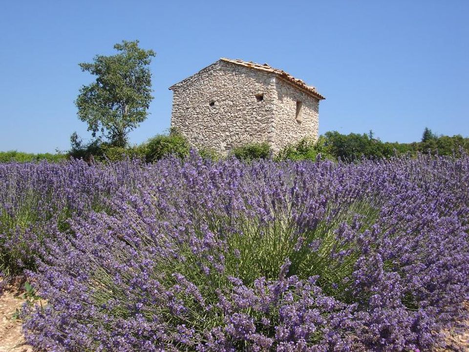 France - Sud Est et Provence - L'Isle sur la Sorgue - Camping La Sorguette 3*