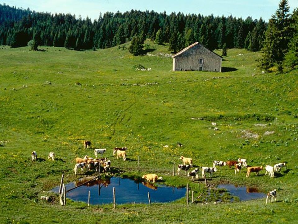 France - Bourgogne Franche Comté - Huanne Montmartin - Camping Du Bois De Reveuge, 4*