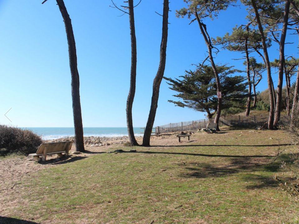 France - Atlantique Nord - Jard sur Mer - Camping Le Bosquet, 2*