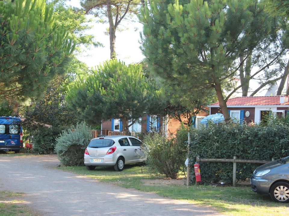 France - Atlantique Nord - Jard sur Mer - Camping Le Bosquet, 3*