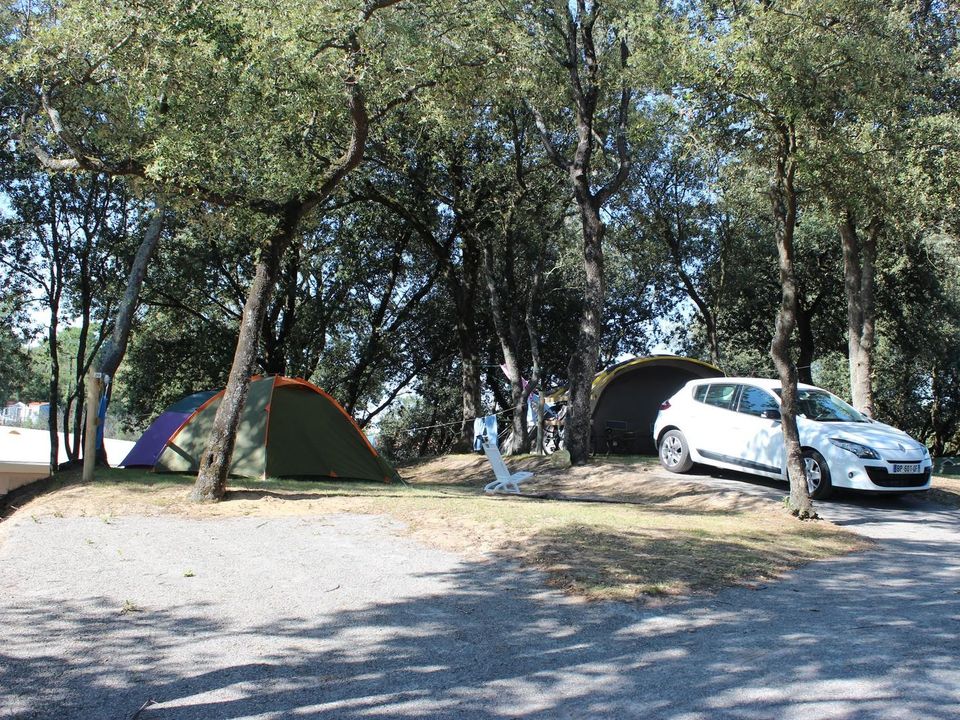 France - Atlantique Nord - Jard sur Mer - Camping Le Bosquet, 3*