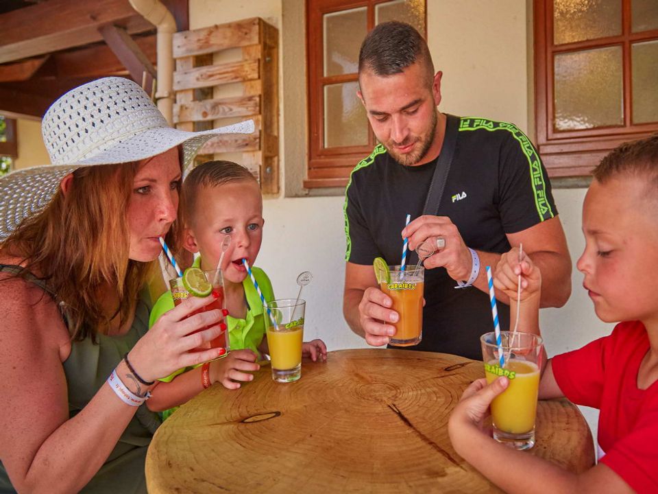 France - Poitou Loire - La Boissière de Montaigu - Camping Coeur de Vendée, 3*