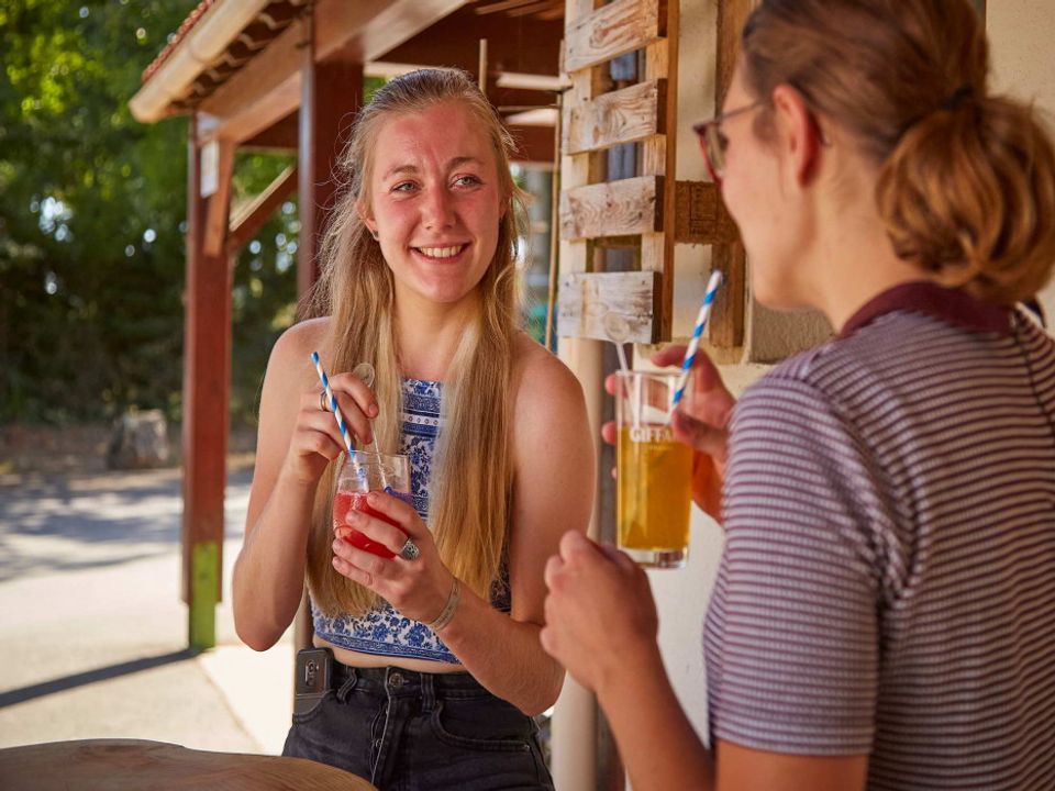 France - Poitou Loire - La Boissière de Montaigu - Camping Coeur de Vendée, 3*