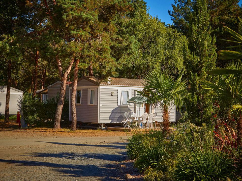 France - Poitou Loire - La Boissière de Montaigu - Camping Coeur de Vendée, 3*