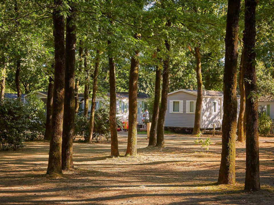 France - Poitou Loire - La Boissière de Montaigu - Camping Coeur de Vendée, 3*