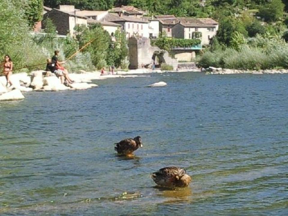 France - Rhône - Lavilledieu - Camping les Rives d'Auzon 3*