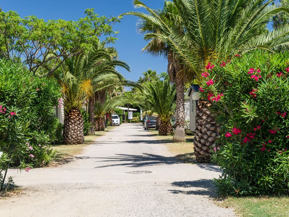 France - Méditerranée Ouest - Barcarès - Camping l'Oasis et California, 4*