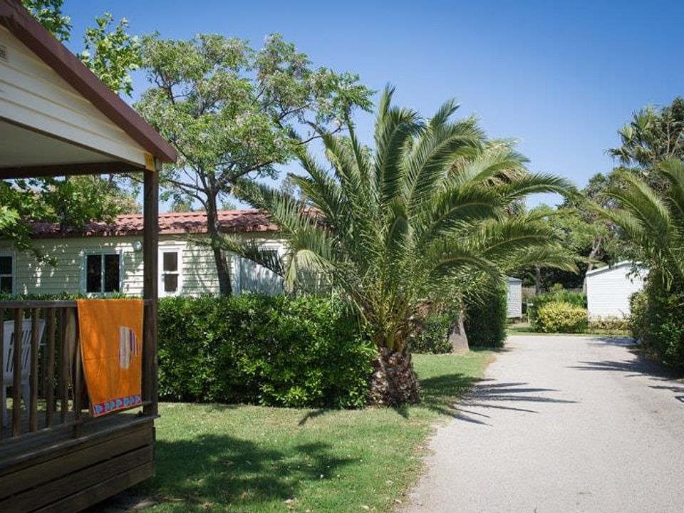 France - Méditerranée Ouest - Barcarès - Camping l'Oasis et California, 4*