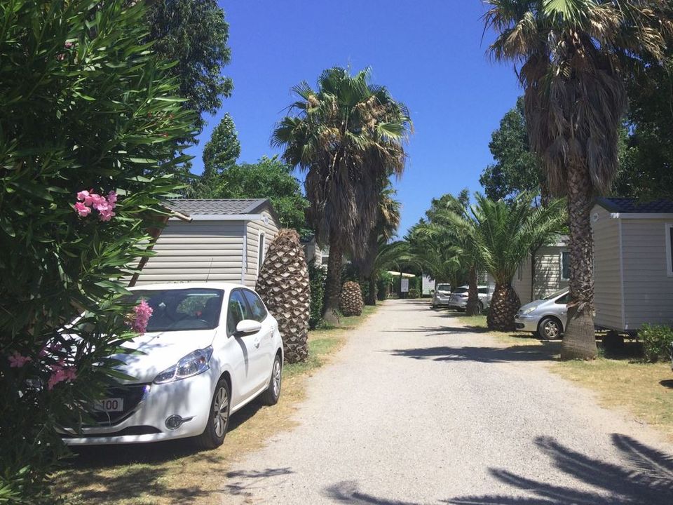 France - Méditerranée Ouest - Barcarès - Camping l'Oasis et California, 4*