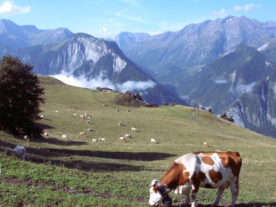 France - Rhône - Le Bourg d'Oisans - Camping Le Château de Rochetaillée 4*