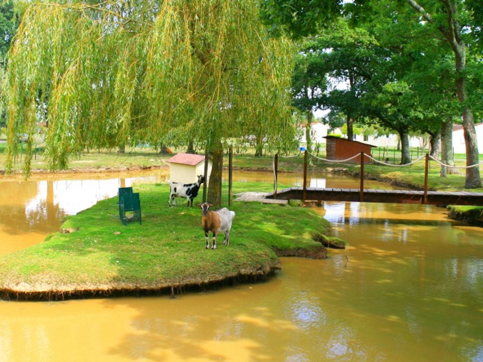 Camping De L'anas Les Moutiers En Retz