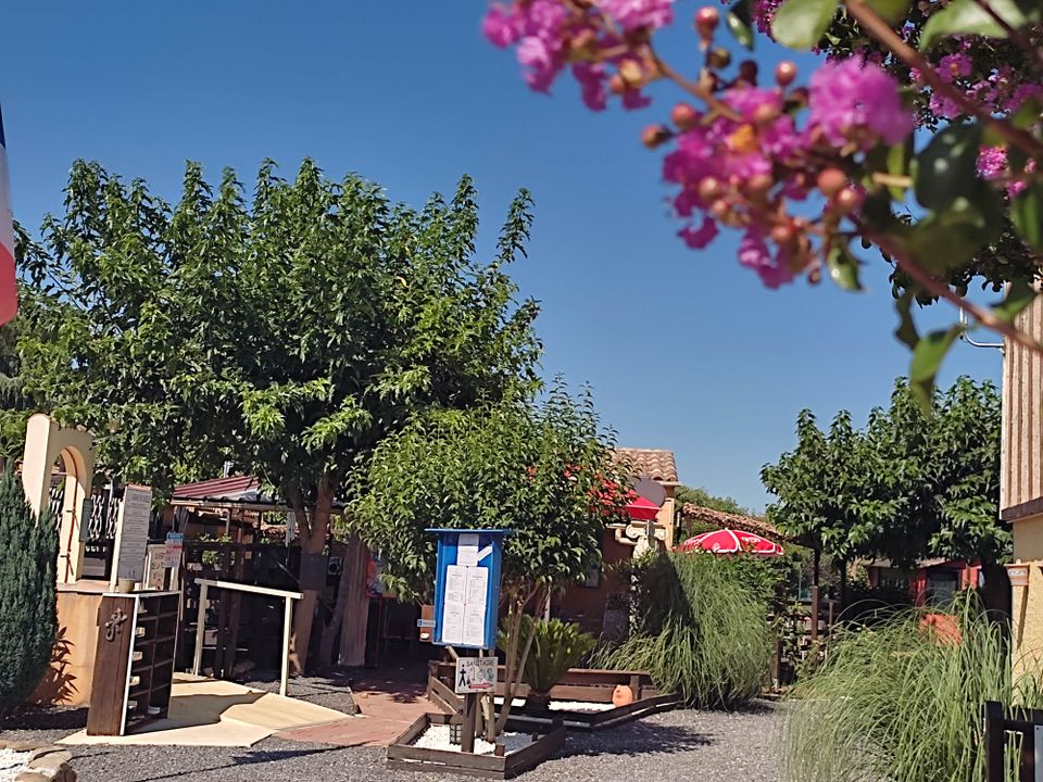 France - Languedoc - Massillargues Attuech - Camping l'Olivier 3*