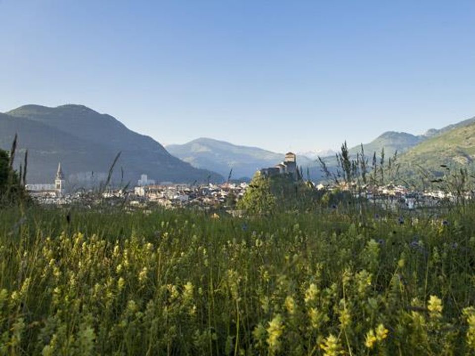 France - Pyrénées - Lourdes - Camping Le Vieux Berger, 2*