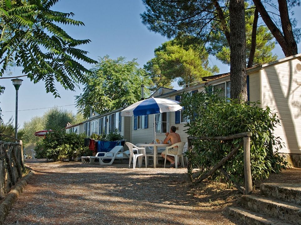 Italie - Toscane - Montopoli in Val d'Arno - Camping Toscana Holiday Village, 3*