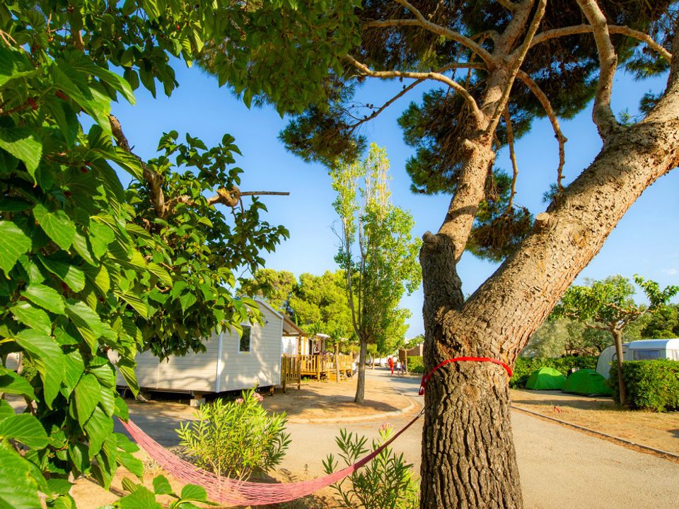 France - Méditerranée Ouest - Narbonne Plage - Camping La Falaise, 4*