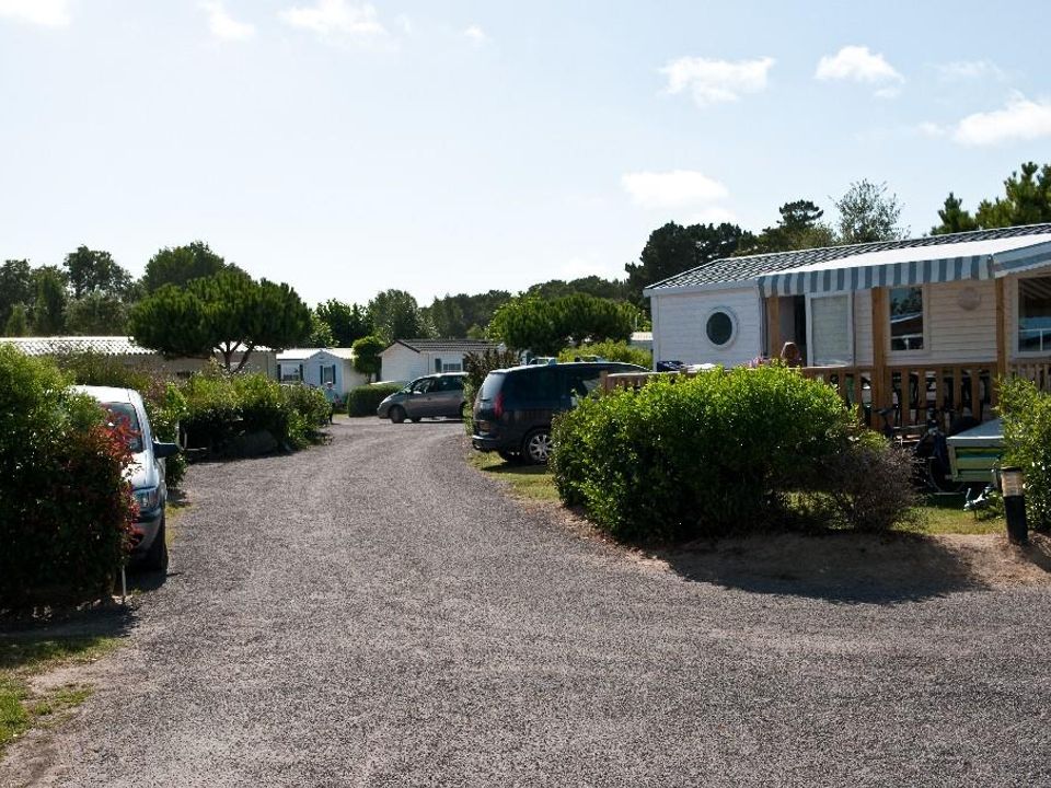 France - Atlantique Nord - Notre Dame de Monts - Camping L'Albizia 4*