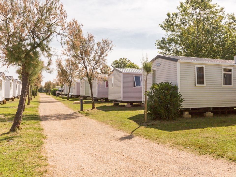 France - Méditerranée Ouest - Palavas les Flots - Camping Domaine Saint Maurice 3*