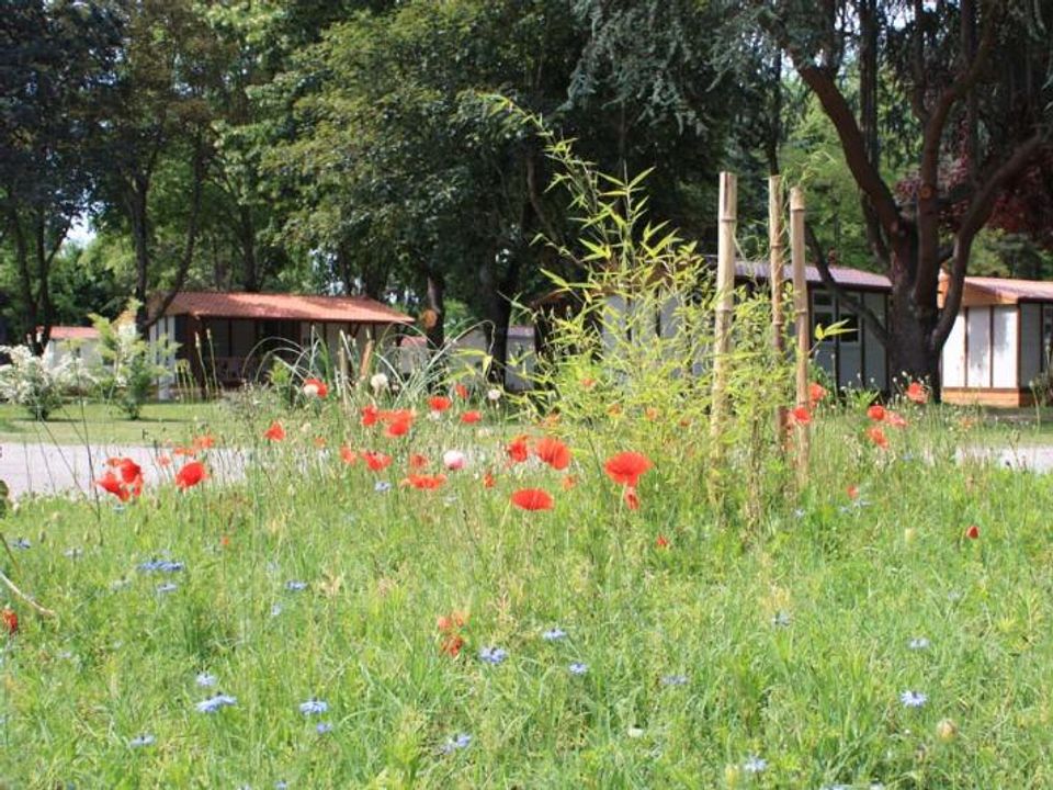 France - Pyrénées - Pamiers - Camping Portes d'Ariège, 3*