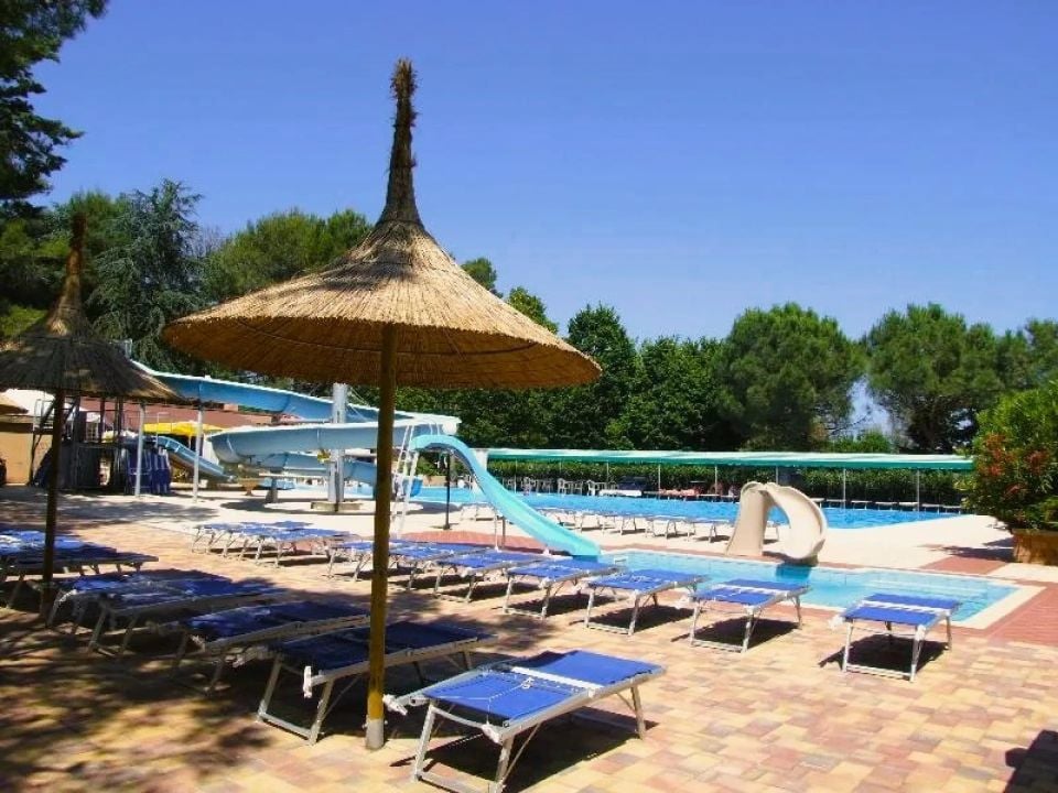 Camping Trasimeno photo 4