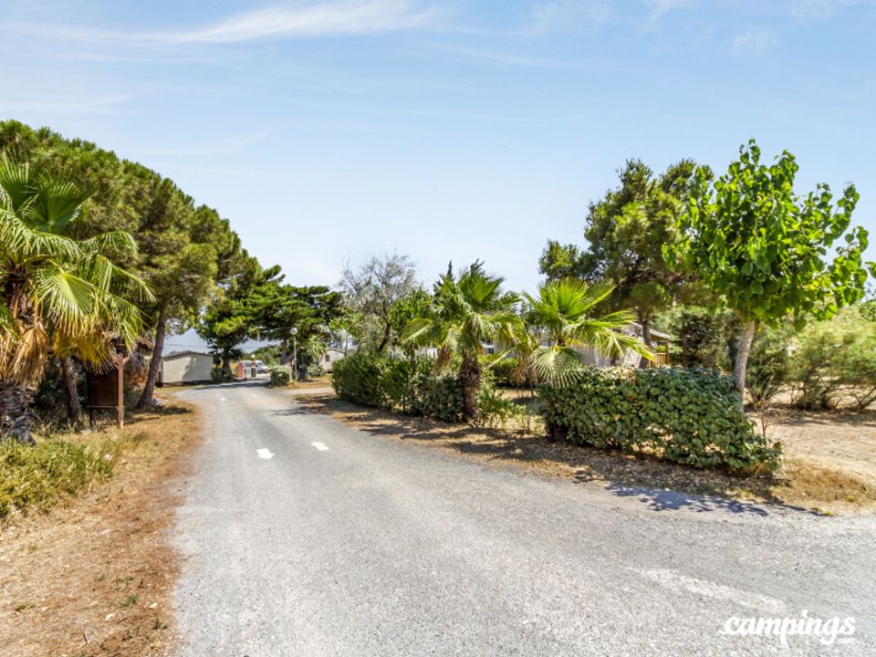 France - Méditerranée Ouest - Port la Nouvelle - Camping Cap du Roc, 4*