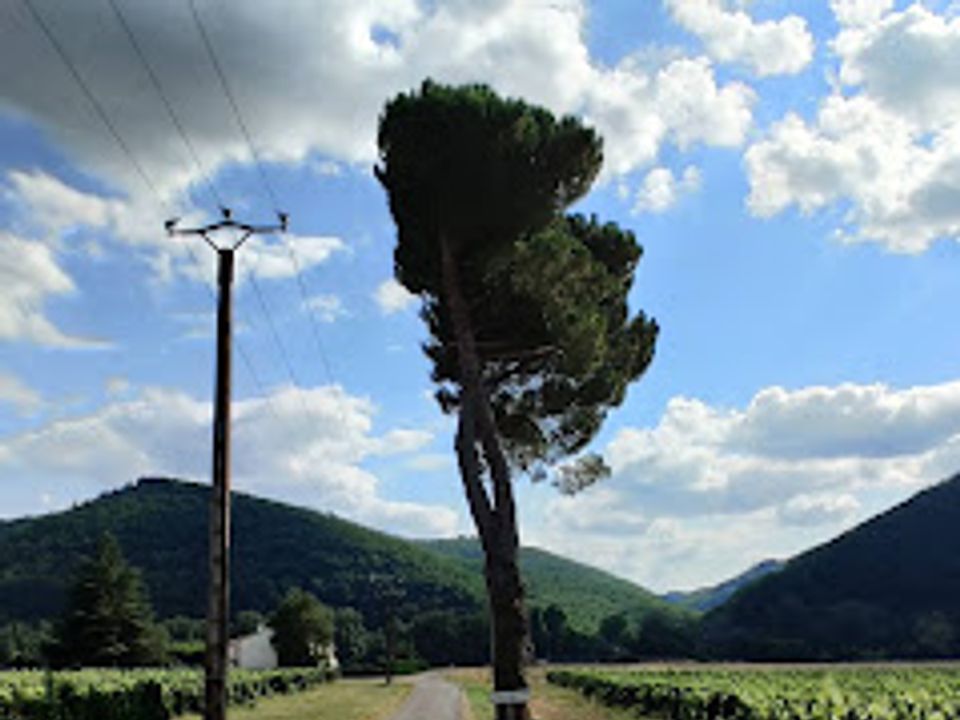 France - Sud Ouest - Puy l'Évêque - Camping Les Vignes 3*