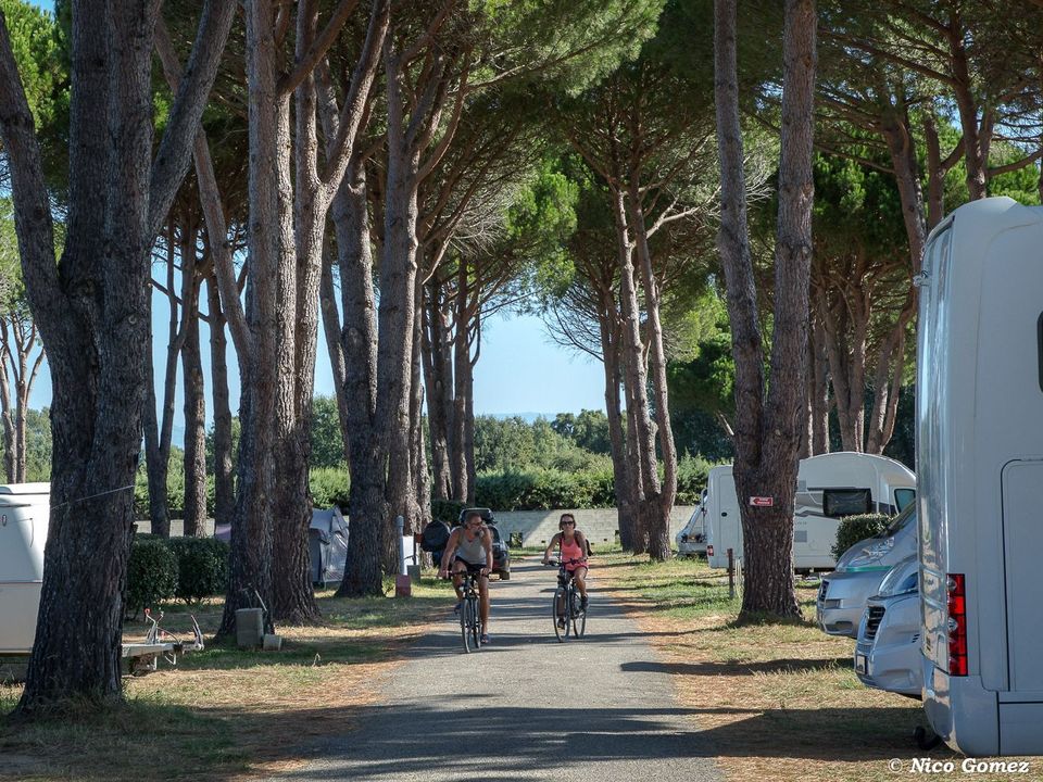 France - Côte d'Azur - Roquebrune sur Argens - Camping de Vaudois 3*