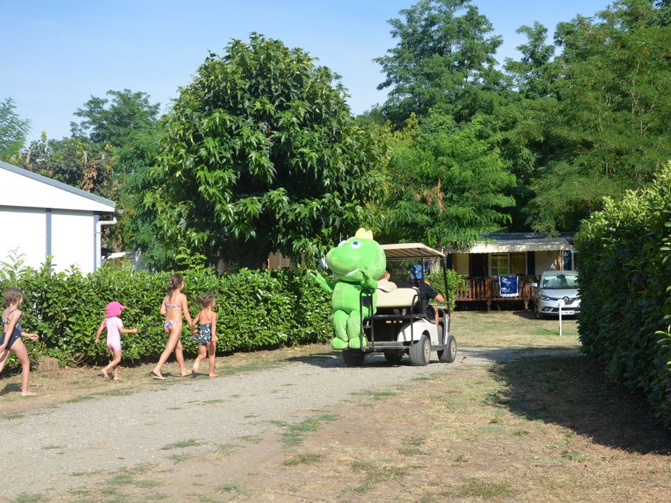 France - Pyrénées - Rieux de Pelleport - Flower Camping Les Mijeannes, 4*